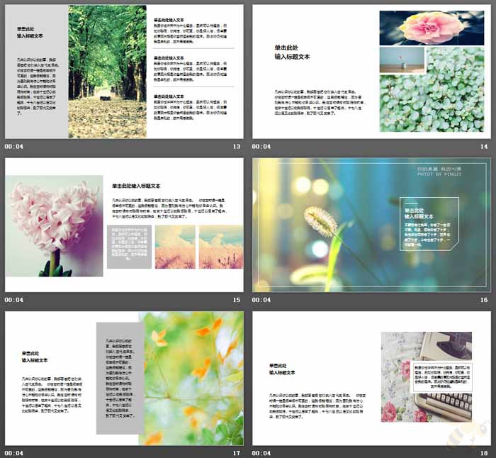 小清新植物背景的图片排版设计PPT模板-小微资源网